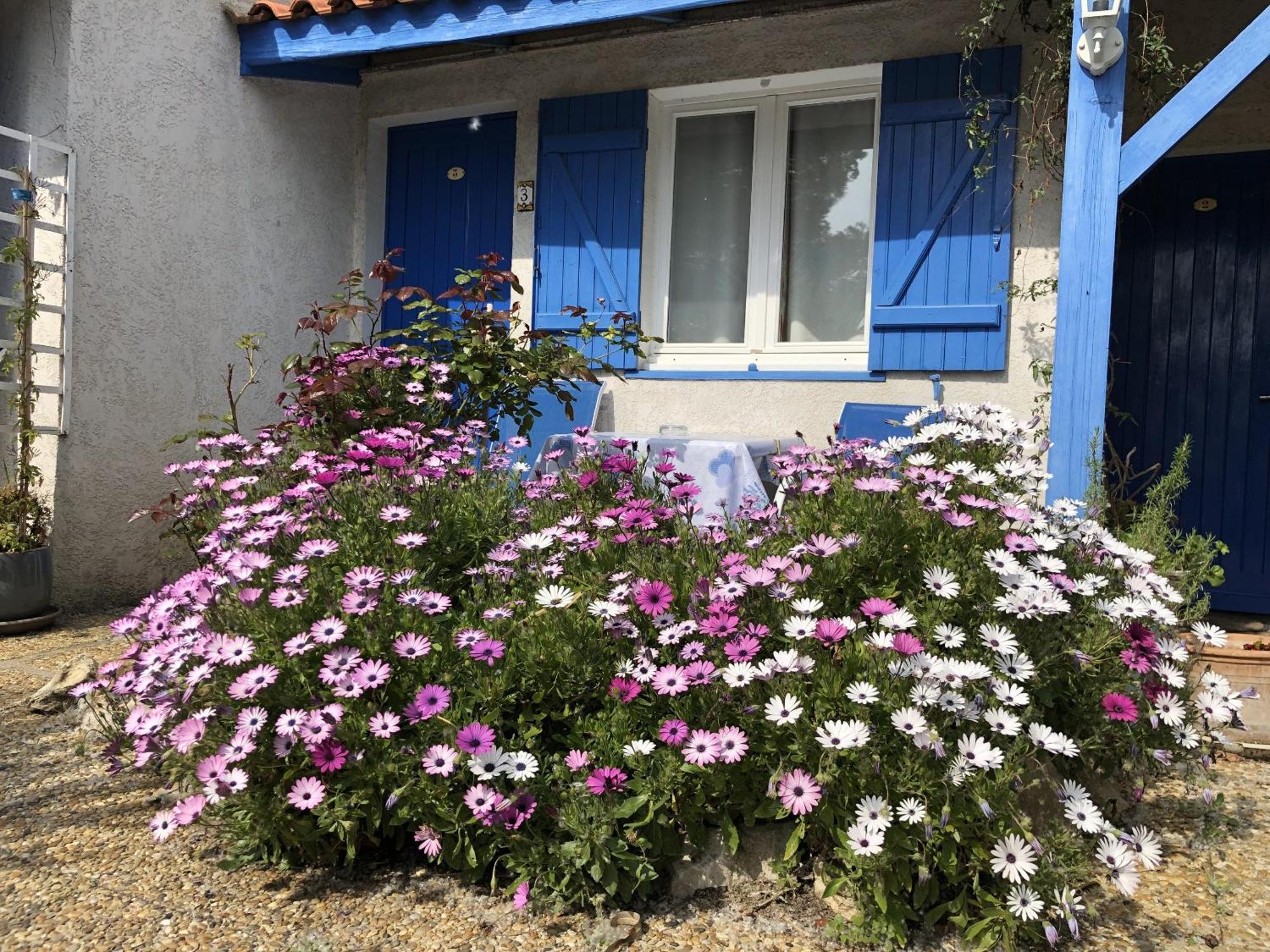 Hotel Des 4 Vents "Esprit Camargue" Aigues-Mortes Exteriér fotografie